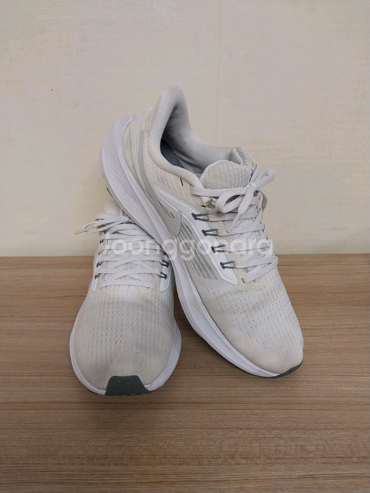 남성 나이키 에어줌 페가수스 39 런닝화,운동화 (265)--1