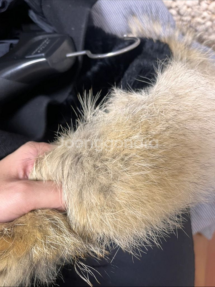 캐나다구스 여성 패딩 코트--3