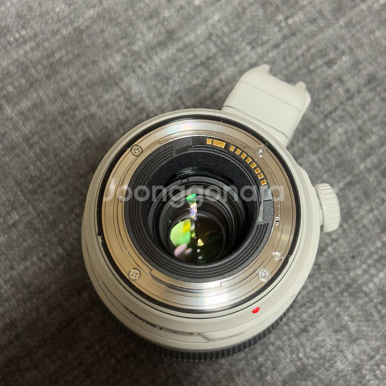 캐논 EF 100-400mm F4.5-5.6L IS II USM 백사투 렌즈--5