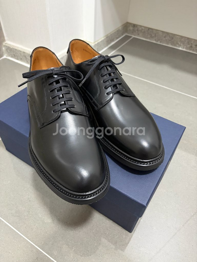 버윅 5048 더비 코도반 새상품--0