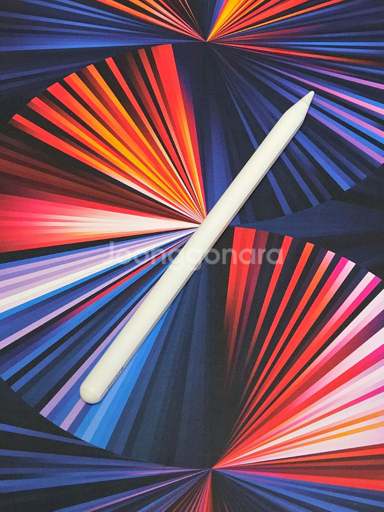 아이패드 프로 12.9인치 M1 1TB 셀룰러 85%--1