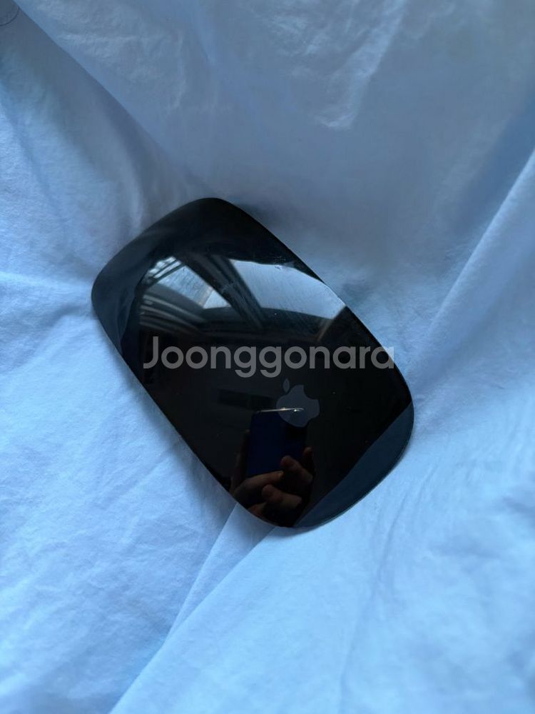 애플 매직마우스2 블랙--0