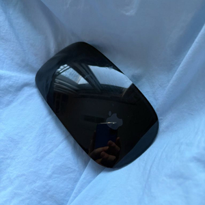 애플 매직마우스2 블랙