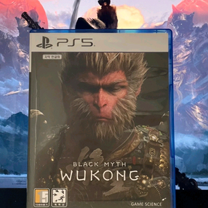 플스5 검은 오공