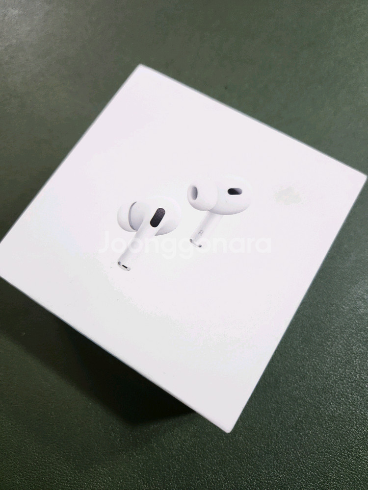 애플 에어팟 프로 2세대--0