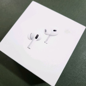 애플 에어팟 프로 2세대