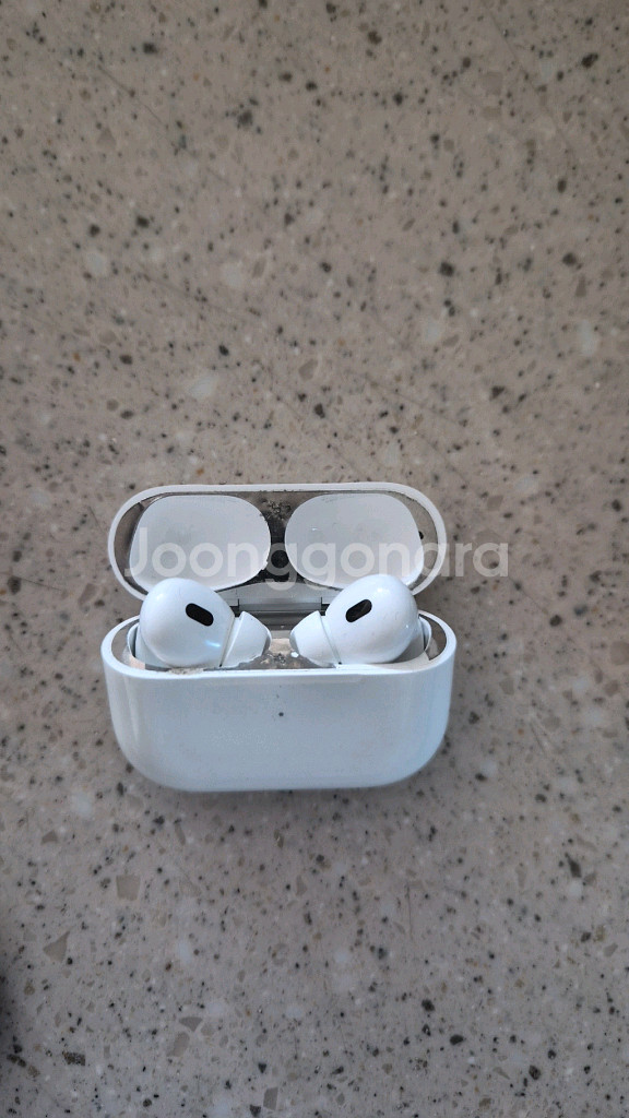 무선 이어폰 프로 2세대--0