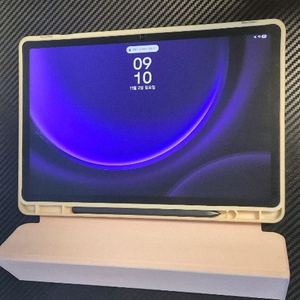 갤럭시탭S9FE 256GB WiFi