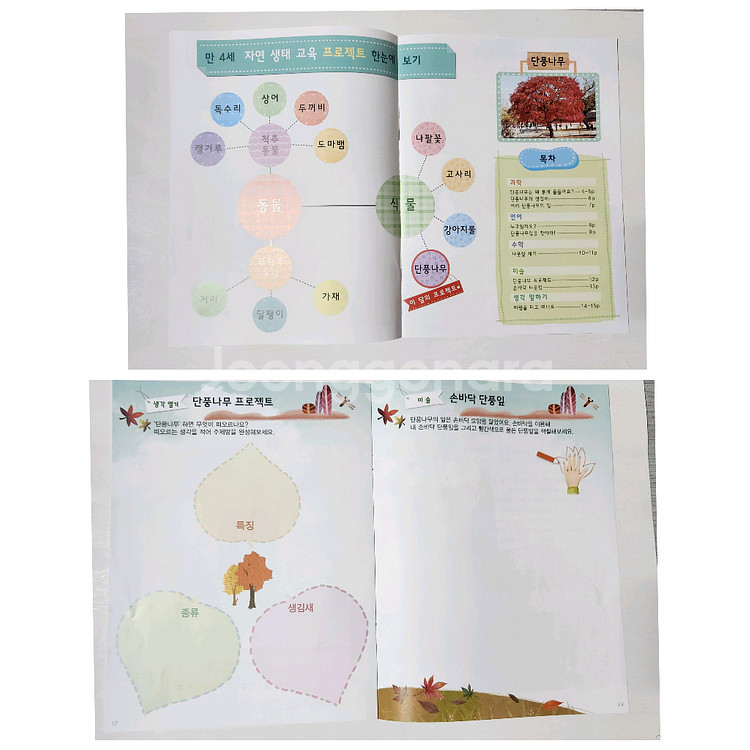 [새제품]놀이중심 누리나래 교구교재세트-통합프로그램(다-8호)--6