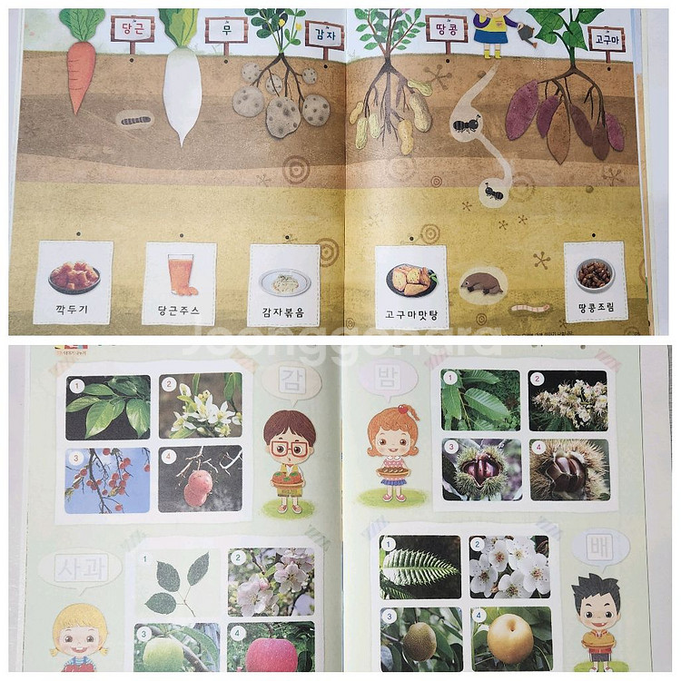 [새제품]놀이중심 누리나래 교구교재세트-통합프로그램(다-8호)--5