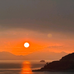 MTB타이어 삽니다 삽니다