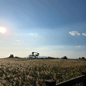 롯데시네마 2D 일반관 예매권+콤보2천원 할인권 총 1매 가능