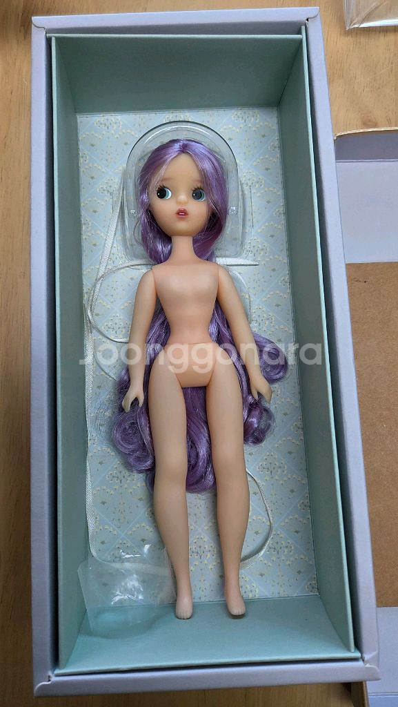 17 코지 클라라 (식모)--0