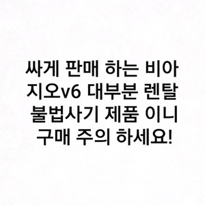 비아지오V6 렌탈 제품 주의하세요