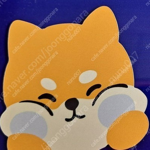 스벅 아메 오늘까지 3700