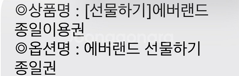 에버랜드 선물하기 종일권 2장--0