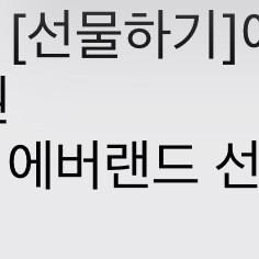 에버랜드 선물하기 종일권 2장