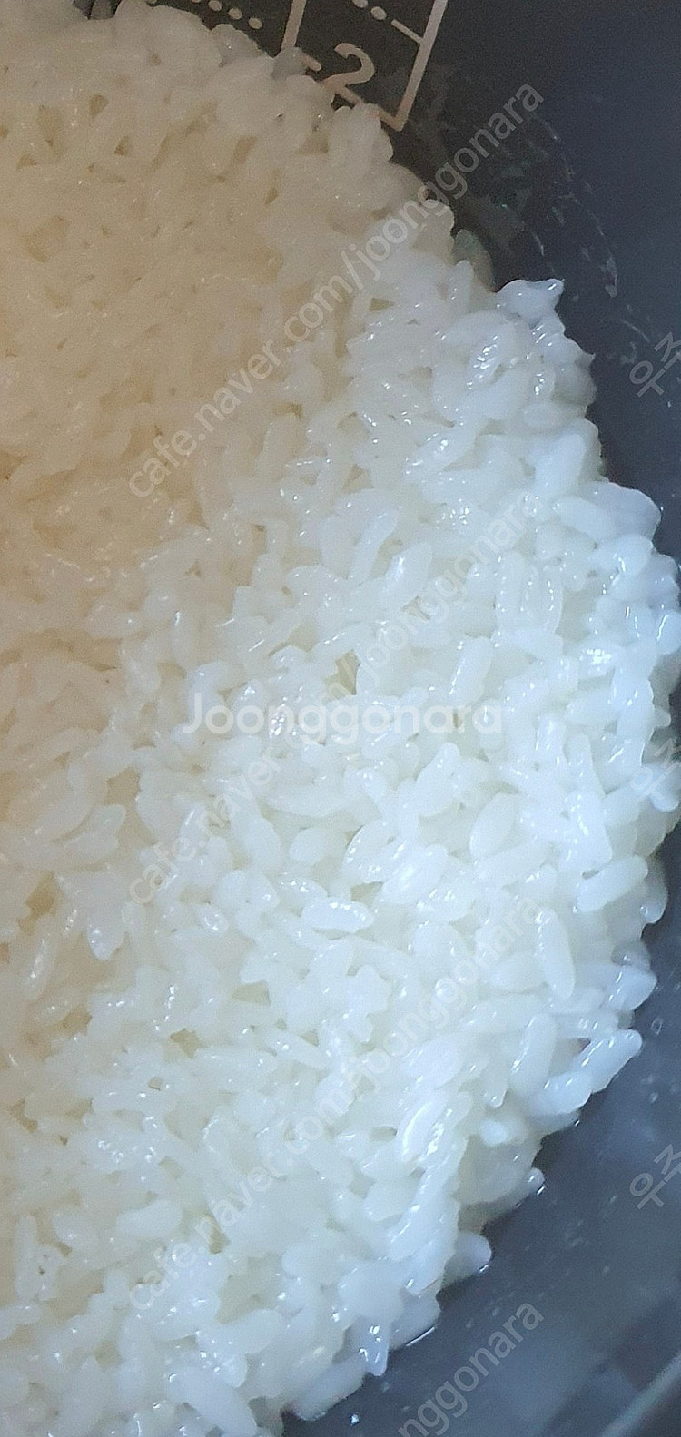 쿠첸6인용 압력밥솥--1