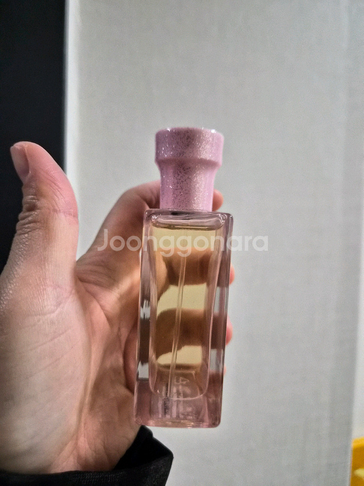 포맨트 코튼메모리 시그니처 핑크블로썸--1