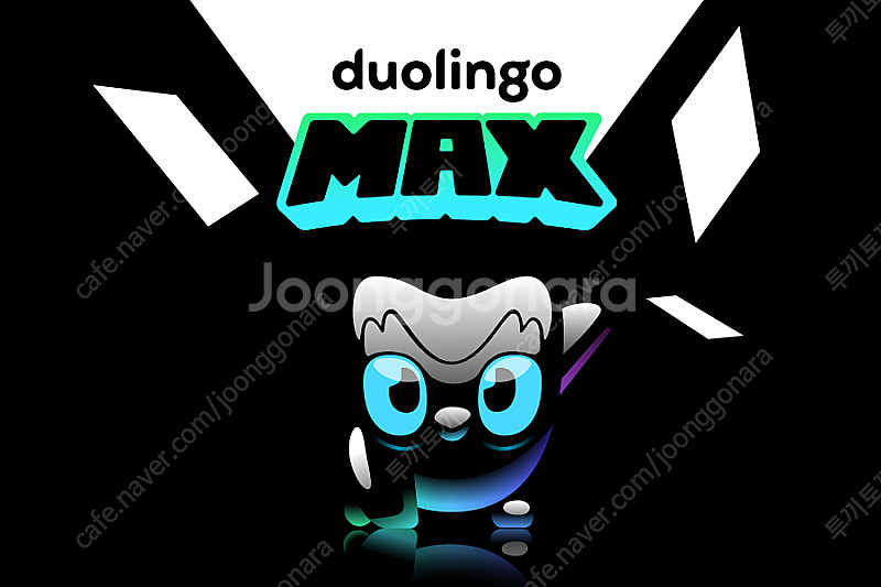 듀오링고 맥스 패밀리 파티 같이 하실 분--0