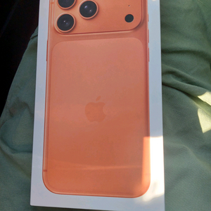 아이폰17 프로맥스 256 실버 오렌지 미개봉 자급제