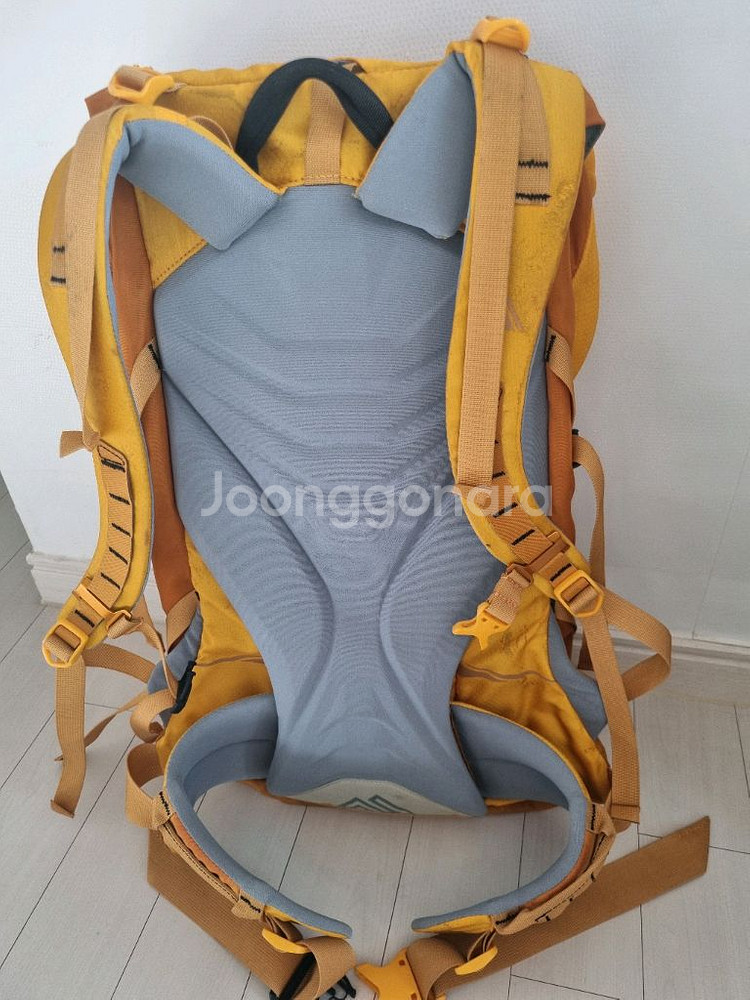 그레고리 알티니스트 35L 등산배낭--4