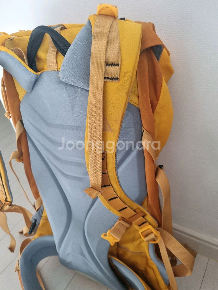 그레고리 알티니스트 35L 등산배낭--5