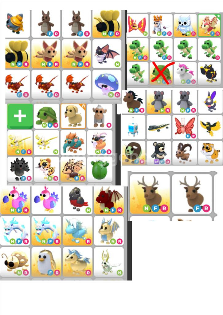 입양하세요 현거--0