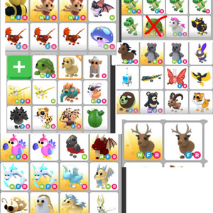 입양하세요 현거