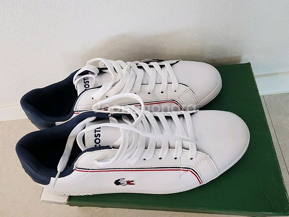 신발 라코스테 정품 새상품 미착용 새것 사이즈 260m--2
