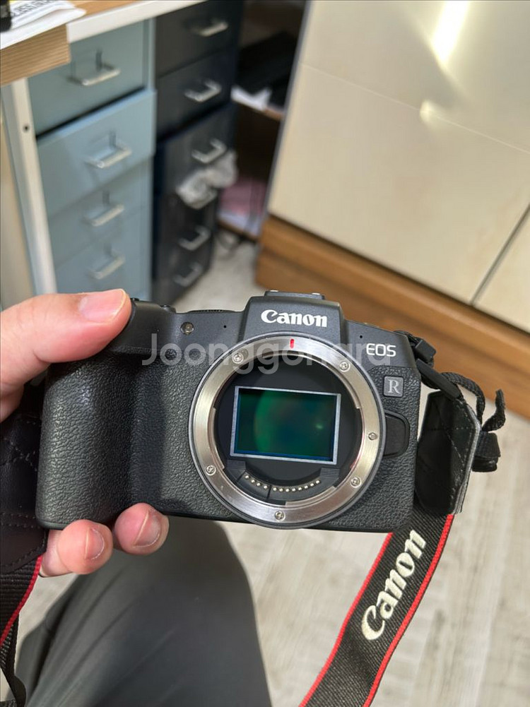 캐논 EOS RP / RF 50mm F1.8--3