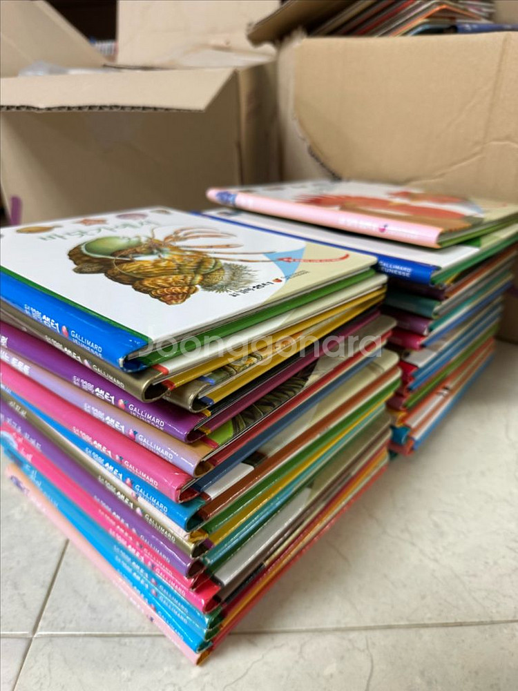 오르다 첫발견--0