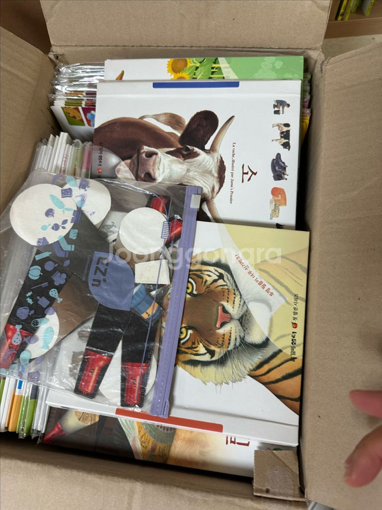 오르다 첫발견--3