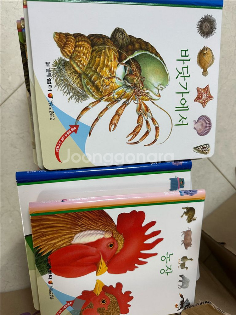 오르다 첫발견--1