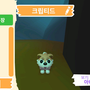 입양하세요 펫 크립티드 판매합니다