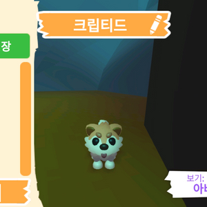 입양하세요 펫 크립티드 판매합니다