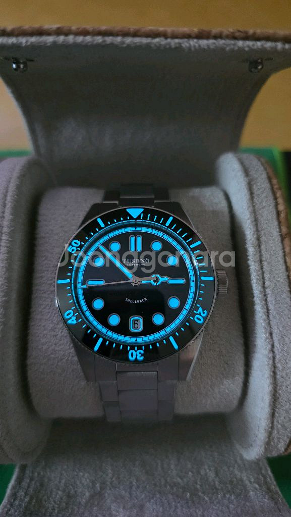다이버 시계--3