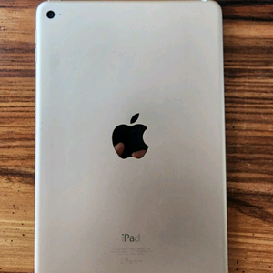 아이패드 미니 4세대 64GB 와이파