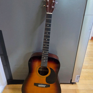 세고비아 입문용 기타 SJ61 + 케이스