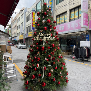 대형 3M 50cm 크리스마스 트리, 조명, 소품 판매합니다. (카페, 교회 추천)