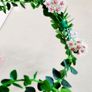 호야칭흥엔시스