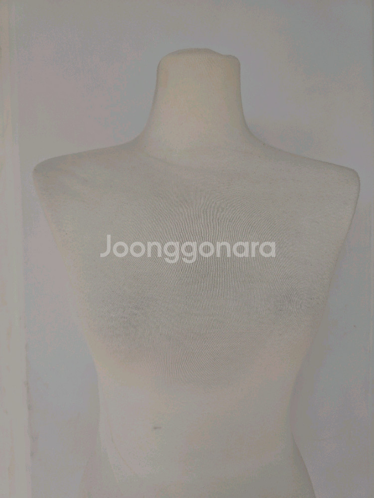 여성형 상반신 마네킹--5