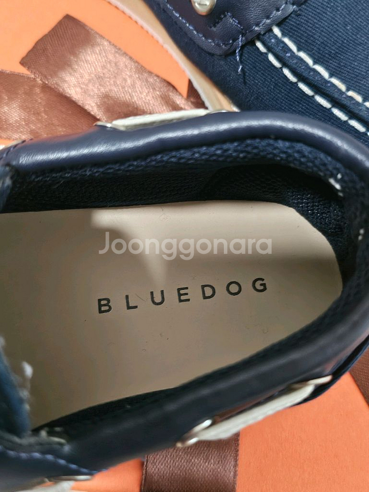블루독 남아신발 170--3
