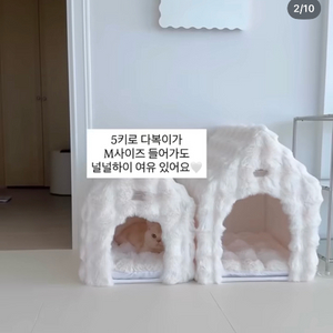 강아지 룸 베베데코 펫하우스