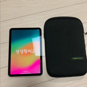 아이패드 미니6 64gb 스타라이트