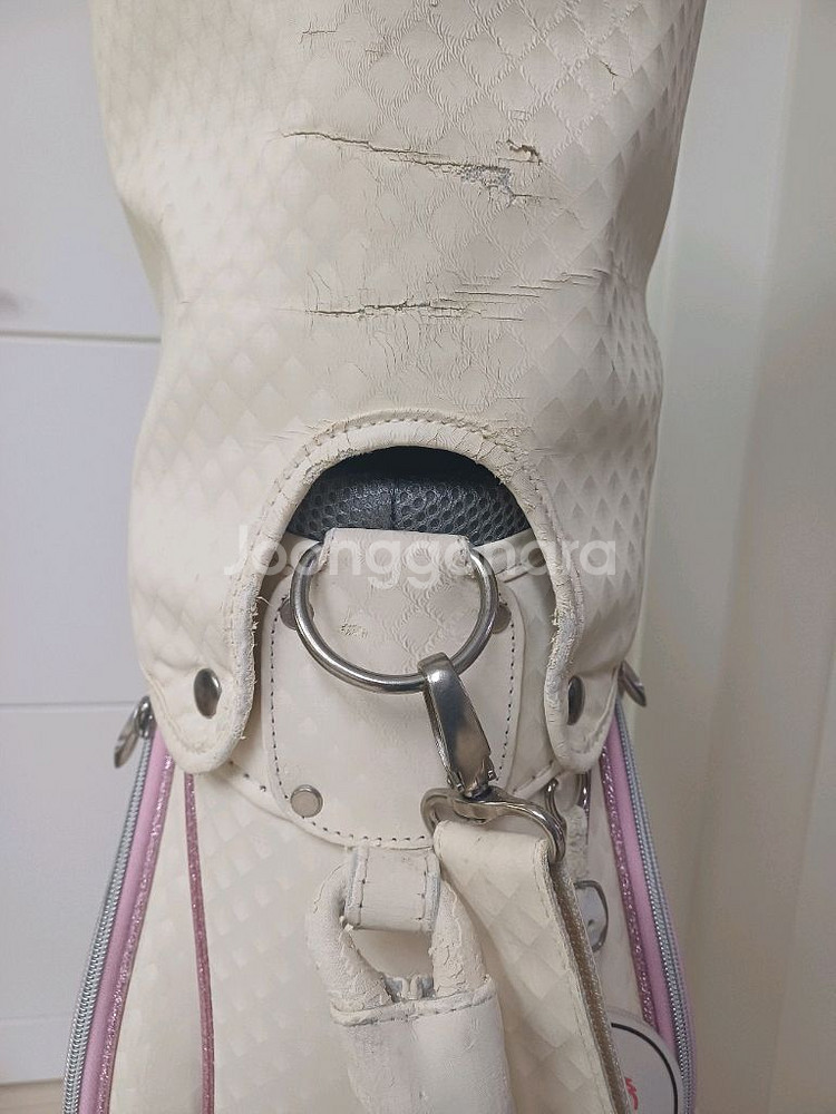 루즈벨트 테디베어 캐디백(여성용)--5