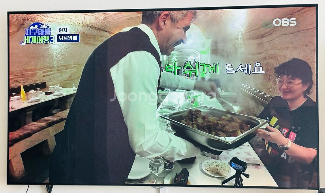 LG 65인치 OLED TV 판매 (번인 증상 있음)--2