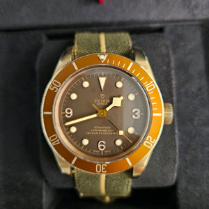 튜더블랙베이브론즈 튜더 튜더시계 튜더펠라고스 튜더 오토