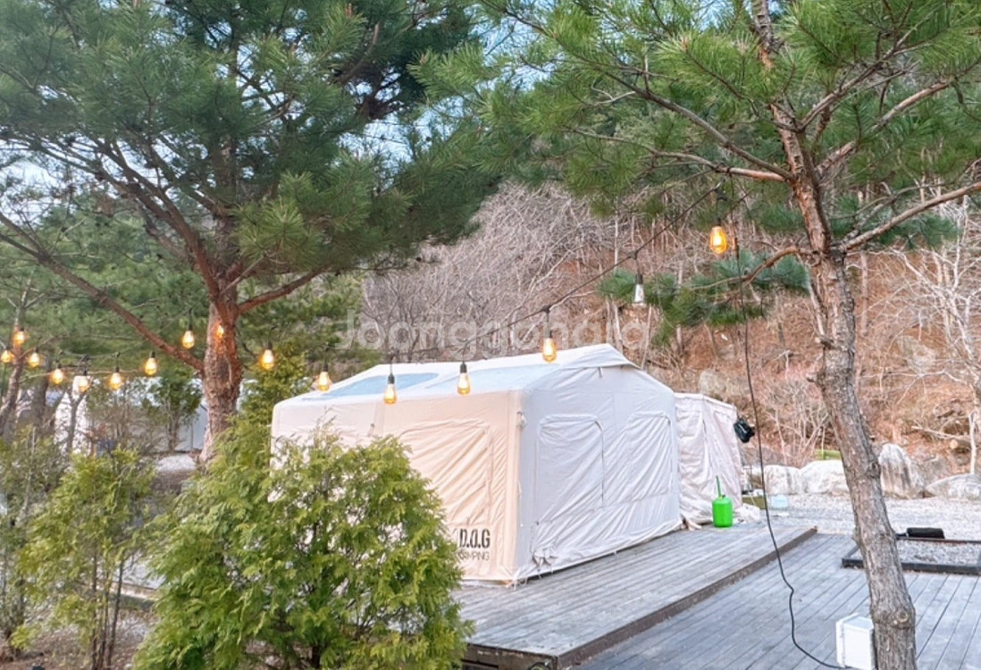 도그독 에어텐트 디스노프 14Y 풀세트 ( 천고 2.4m )--0