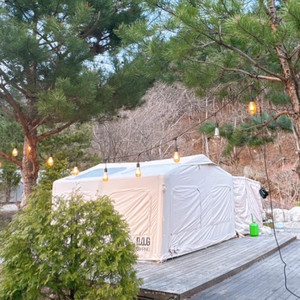 도그독 에어텐트 디스노프 14Y 풀세트 ( 천고 2.4m )